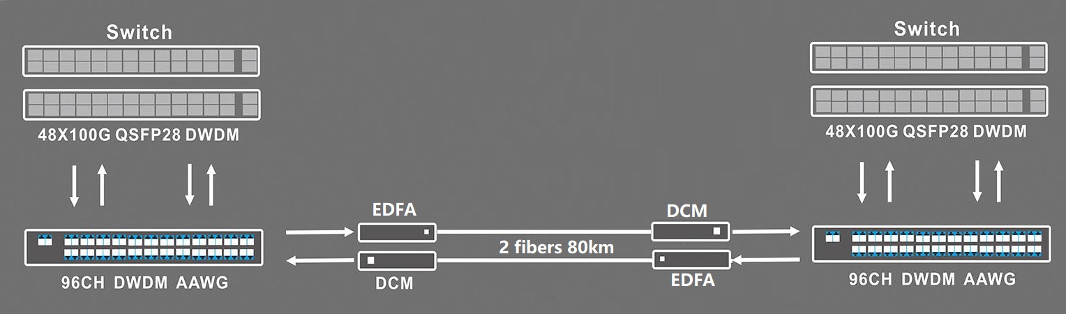 100G DWDM PSM4