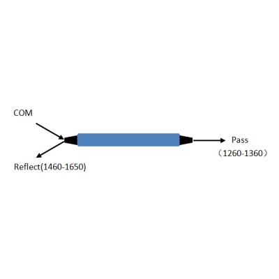 1310 Wide Band Filter