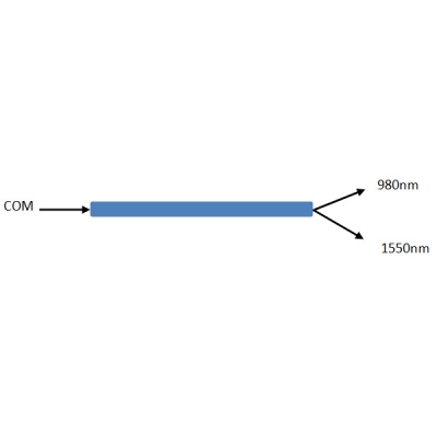 Fused WDM 980 1550