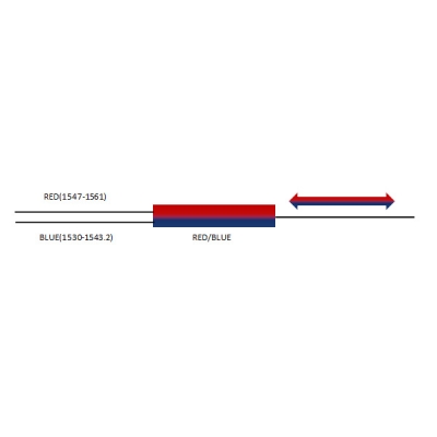 Filtro azul rojo DWDM