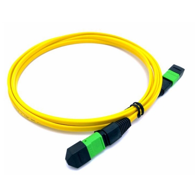 MPO MTP Cable SM